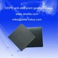 HDPE Anti-skid Point Geomembrane