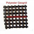 Polyester Geogrid