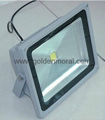 HCTD-50W Roadway Led Light