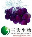 resveratrol,Grape Skin Extract  1
