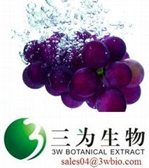 resveratrol,Grape Skin Extract 