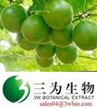 80% mogrosides Luo Han Guo Extract