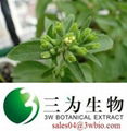 Stevioside Stevia Extract