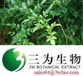 Dihydromyricetin Vine Tea Extract