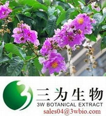 Corosolic Acid Banaba Leaf Extract 