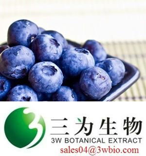 anthocyanis Bilberry extract  