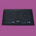 Double stove induction heating cooke