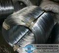 Electro galvanized iron wire 1