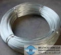 Electro galvanized iron wire 3