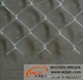 Stainless steel chain link fence 3