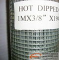 hot-dip galvanized welded wire mesh 1