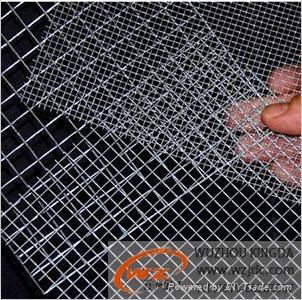 hot-dip galvanized welded wire mesh 2