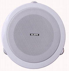 Ceiling Speaker TE-405