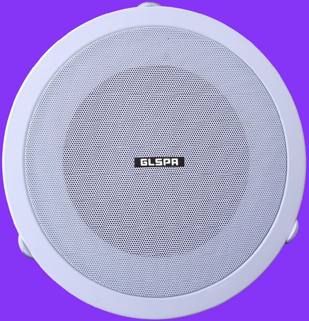 Audio Speaker TE-608