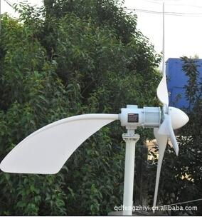 300W  windwings windturbine 2013 new horizontal axis