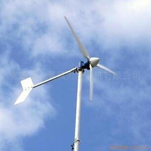 300W  windwings windturbine 2013 new horizontal axis 2