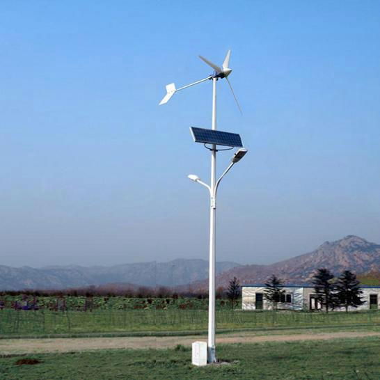 300W  windwings windturbine 2013 new horizontal axis 4