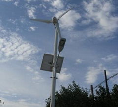 600W  windwings windturbine  new designed