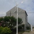 600W  windwings windturbine  new designed 3