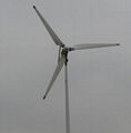 1kw windwings windturbine 3