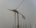 2KW windturbine new designed new horizontal axis 4