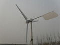 2KW windturbine new designed new horizontal axis 5