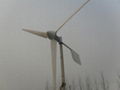 3KW  windwings windturbine  new