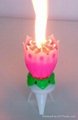 happy birthday rose flower music Candle 2