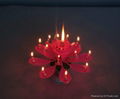 Magic flower birthday music cake decoration Candle 2