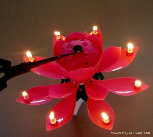Amazing open romantic rotating flower music Candle 3
