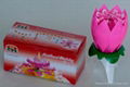 Singing open mouth flower birthday music Candle 1