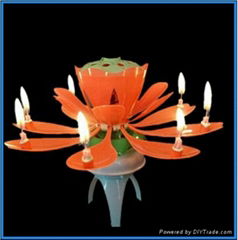 blooming flower rotating birthday music Candle