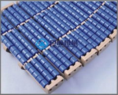 882 Roller chain with wing   Ball conveyor line