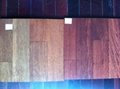 Taun Hardwood Flooring Solid taun flooring 1