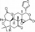 Tangerine seed extract 4