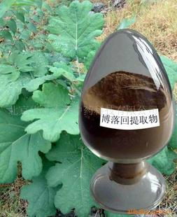 Macleaya Cordata Extract 2