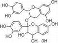 Grape Seed extract 2