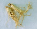 Panax Ginseng Extract 2