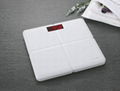 Camry Electronic Personal Bathroom Scale With Plastic Houseing For Body Weight  2