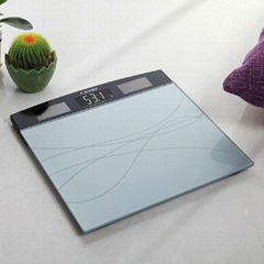 Camry  Household Solar Body Scale With Glass Platform For Bathroom