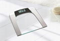 Camry Electronic Personal Scale Body Fat Analysis Glass Platform For Bathroom 