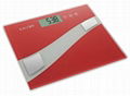 Camry Electronic Personal Body Fat Analysis Scale With Super Slim For Bathroom 3