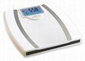 Camry Electronic Personal Body Fat Analysis Steel Platform For Bathroom 2