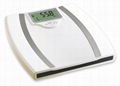 Camry Electronic Personal Body Fat Analysis Steel Platform For Bathroom 4