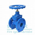 BS5163 Cast Iron Gate Valve