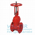BS5163 Cast Iron Gate Valve 2
