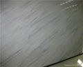 Vara cloudy gray polished marble slab