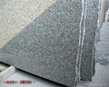 G635 Anxi Medium Red Granite