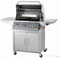 Outdoor gas bbq grill with back burner