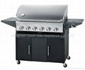 Spray paint gas bbq grill (6 burner) 1